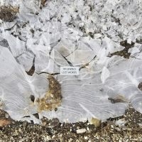 Barnes Tim - Lost Words