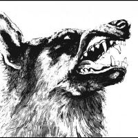 Crippled Black Phoenix - I, Vigilante (Black Vinyl LP)