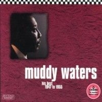 Waters Muddy - Chess Masters - His Best 47-65 in the group CD / Jazz/Blues at Bengans Skivbutik AB (561675)