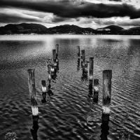 Race Hugo & Maroccolo Gianni - The Vigil