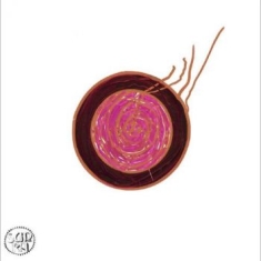 Sun Ra - Sleeping Beauty