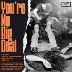 Various Artists - You're No Big Deal - Grunge, The U.S. Underground And Beyond 1984-1994 (4CD)