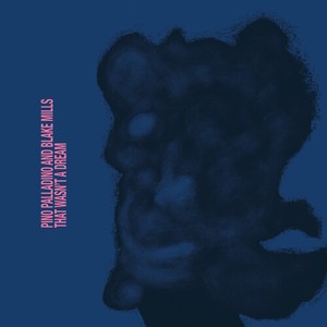 Pino Palladino Blake Mills - That Wasn't A Dream