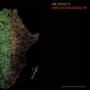 Mr Raoul K - African Paradigm Ep 1