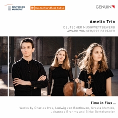 Amelio Trio - Time In Flux…