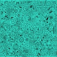 Donner Party - Donner Party