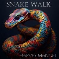 Harvey Mandel - Snake Walk