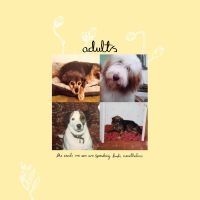 Adults - The Seeds We Sow Are Sprouting Buds