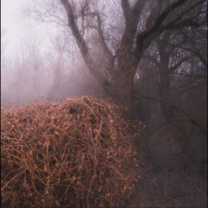 The Devil?S Trade - Nincs Szennyezetlen Szép