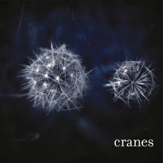 Cranes - Cranes