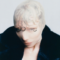 Lykke Li - The Afterparty