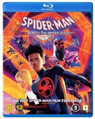 Movie - Spider-Man Across The Spider-Verse (Bd)