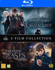 Movie - Fantastic Beasts 1-2 Bd