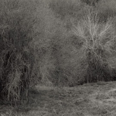 Leimer K. - Atrophies For Piano