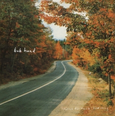 Bob Hund - Istället För Musik: Förvirring