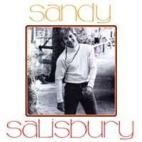 Sandy Salisbury - Sandy in the group CD / Pop at Bengans Skivbutik AB (567369)