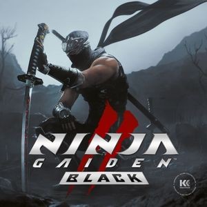 V/A - Ninja Gaiden Ii Black