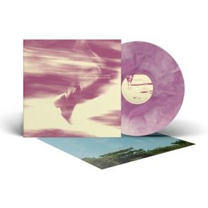 Bees Made Honey In The Vein Tree - In Between Strides (Galaxy Vinyl Lp)