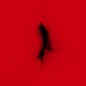 Dingwei - Untied