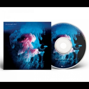 Pineapple Thief The - All The Wars (2025 Bruce Soord Mix)