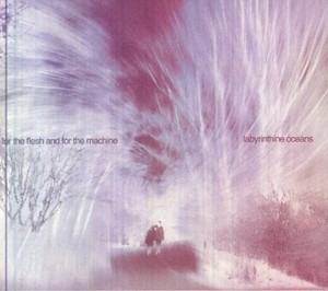 Labyrinthine Oceans - For The Flesh And For The Machine