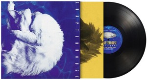 Chapterhouse - Whirlpool