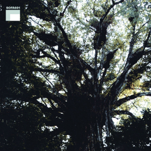 Lysne Jo David Meyer/Peder Simonse - Spektralmaskin Ii