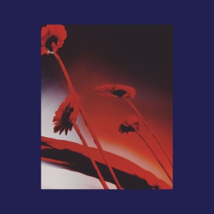 Various Artists - Nothing Ever Was: Compiled By Dj Su