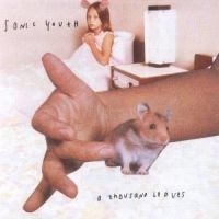 Sonic Youth - Thousand Leaves in the group Minishops / Sonic Youth at Bengans Skivbutik AB (581004)