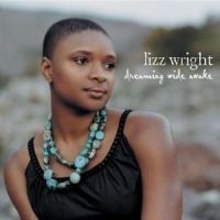 Wright Lizz - Dreaming Wide Awake in the group CD / Jazz/Blues at Bengans Skivbutik AB (582697)