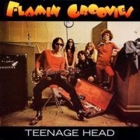 Groovies Flamin - Teenage Head