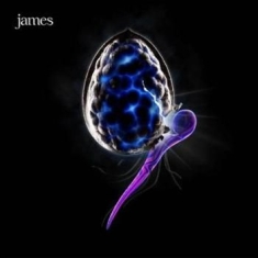 James - Night Before