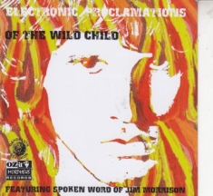 Jim Morrison - Electronic Proclamations Of The Wild Child