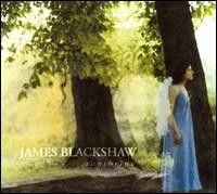 Blackshaw James - Sunshrine in the group CD / Pop at Bengans Skivbutik AB (596224)