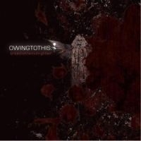 Owing To This - Breathe The Midnight Air in the group OTHER / Övrigt /  at Bengans Skivbutik AB (601474)