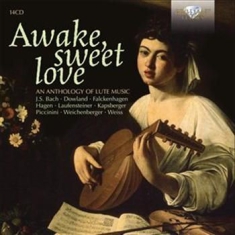 Blandade Artister - Awake Sweet Love