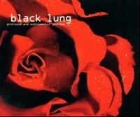 Black Lung - Profound And Sentimental in the group CD / Pop-Rock at Bengans Skivbutik AB (605413)