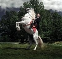 Sir Eric Beyond And The Avant Garde - Sir Eric Beyond And The Avant Garde in the group OTHER / Övrigt /  at Bengans Skivbutik AB (606920)