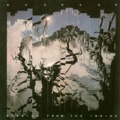 Bauhaus - Burning From The Inside