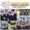 Various Artists - Remember Me Baby - Cameo Parkway Vo in the group CD / Pop-Rock,RnB-Soul at Bengans Skivbutik AB (617726)
