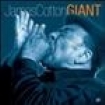 Cotton James - Giant in the group CD / Jazz/Blues at Bengans Skivbutik AB (620057)