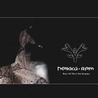 Neikka Rpm - Rise Of The 13Th Serpent in the group OTHER / Övrigt /  at Bengans Skivbutik AB (625070)