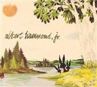 Hammond Jr Albert - Yours To Keep in the group OUR PICKS / Stocksale / CD Sale / CD POP at Bengans Skivbutik AB (625560)