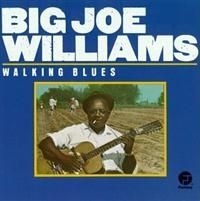 Williams Big Joe - Walking Blues in the group CD / Jazz/Blues at Bengans Skivbutik AB (634189)