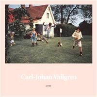 Carl Johan Vallgren - Livet