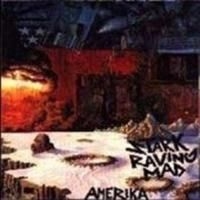 Stark Raving Mad - America in the group CD / Rock at Bengans Skivbutik AB (663705)