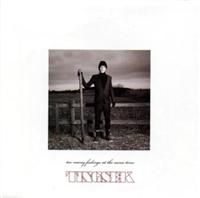 Tingsek - Too Many Feelings At The Same Time in the group CD / Pop at Bengans Skivbutik AB (668236)
