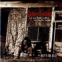 Cotton James - Deep In The Blues in the group CD / Jazz/Blues at Bengans Skivbutik AB (677338)