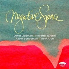 Liebman David - Negative Space