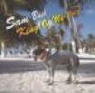 Sam Bush - King Of My World in the group CD / Country at Bengans Skivbutik AB (687950)